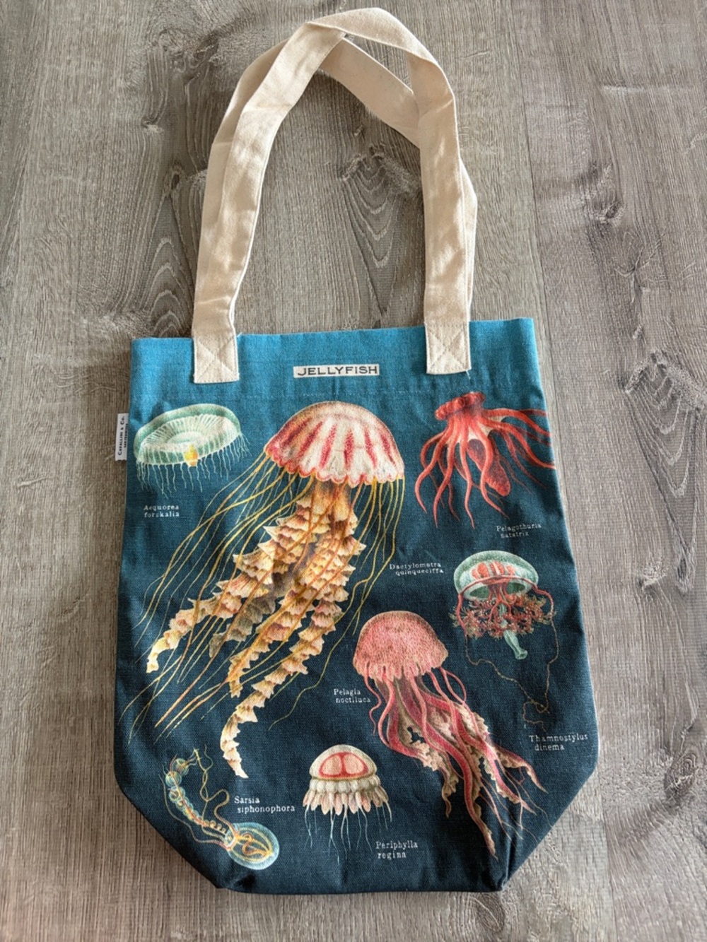 Cavallini & Co. Jellyfish Canvas Tote Bag